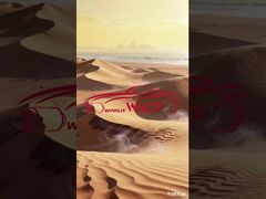 ¡Hace demasiado calor! La importancia de un compresor de aire acondicionado potente para el coche